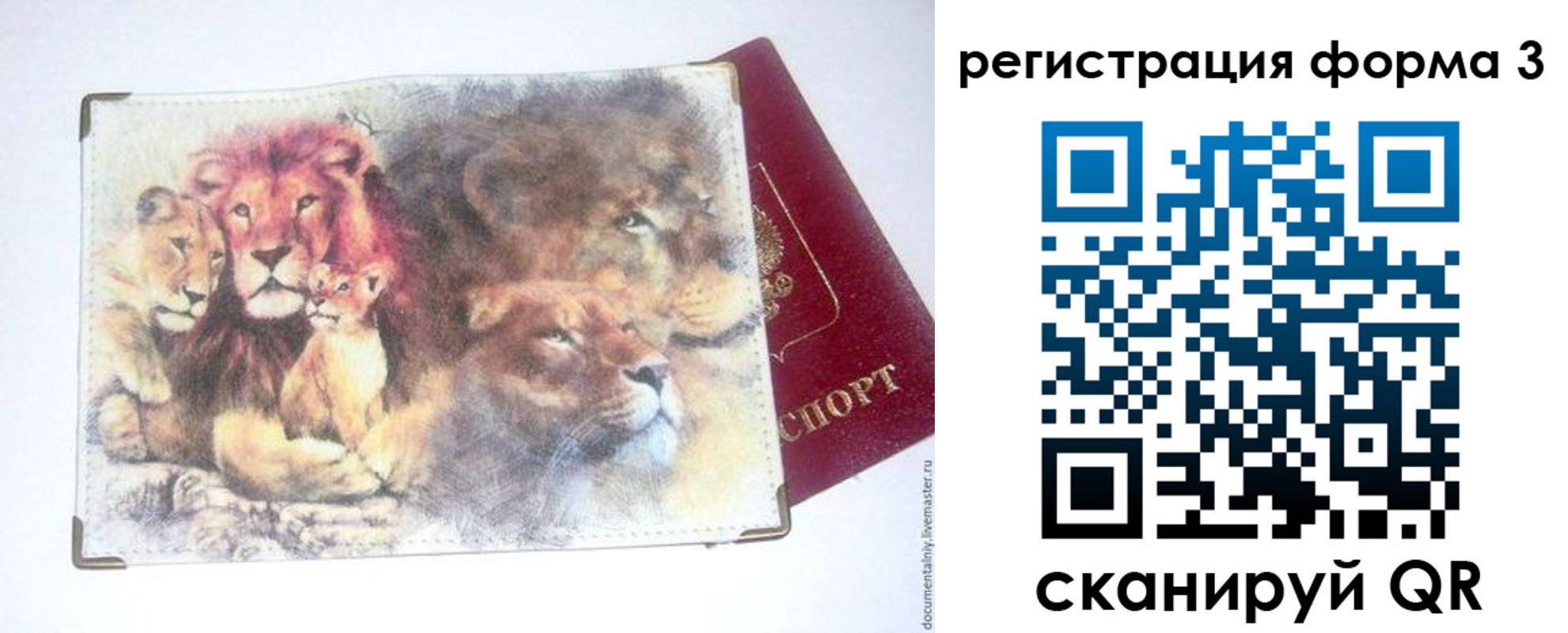 прописка в квартире в Калмыкии